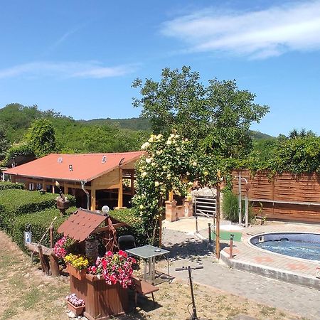 Guesthouse Ilona Velky Kamenec Ngoại thất bức ảnh