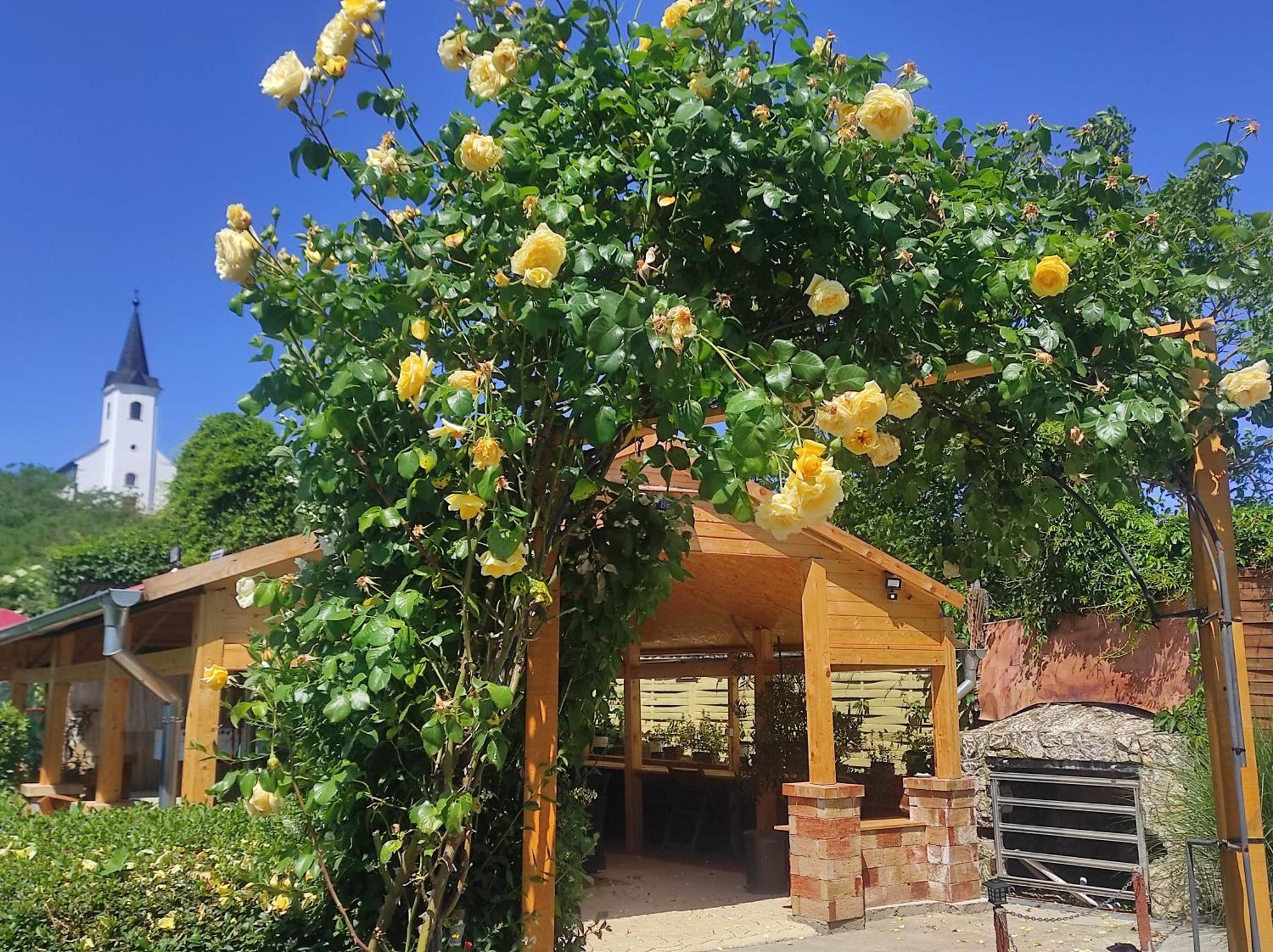 Guesthouse Ilona Velky Kamenec Ngoại thất bức ảnh